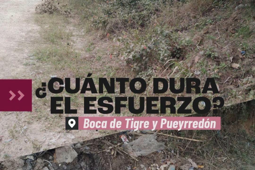 ¿Cuánto dura el esfuerzo?: a un mes de la limpieza, Pueyrredón y Boca de Tigre volvió a ser un microbasural